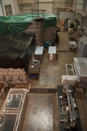 The tanks in the Mariners' Museum wet lab are being covered with tarps, shielding the USS Monitor's turret and other artifacts from public view. (Photo courtesy The Mariners' Museum)