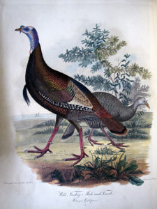 To brine or not to brine