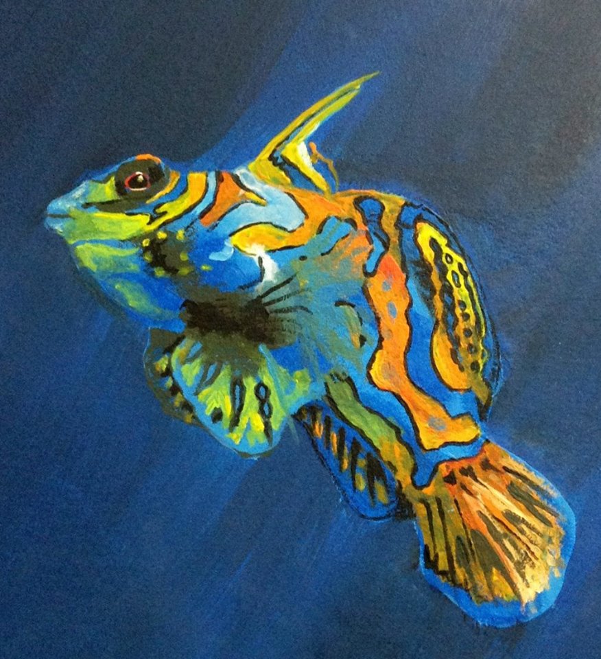 A close-up of a fish in a wall mural by Ellis (Photo courtesy of Haley Ellis)