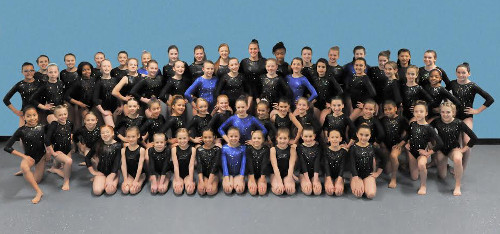 WISC Gymnastics 2013-14 team. (Submitted photo)
