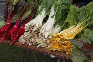 Colorful produce at Yorktown Market Days (Photo courtesy of York County)