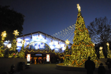 A 50-foot Christmas tree in the Oktoberfest section of Busch Gardens' Christmas Town (Gregory Connolly/WYDaily)