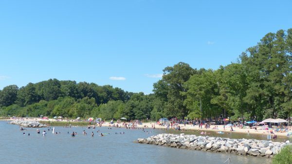 Jamestown Beach Event Park (WYDaily/Courtesy James City County)