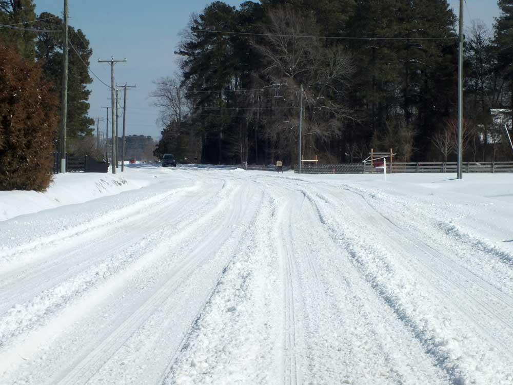 Cars have helped mark a path for others along Forge Road in Toano. (Courtesy Karen Peterson)