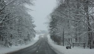 Richmond Road in Norge (Nicole Trifone/WYDaily)