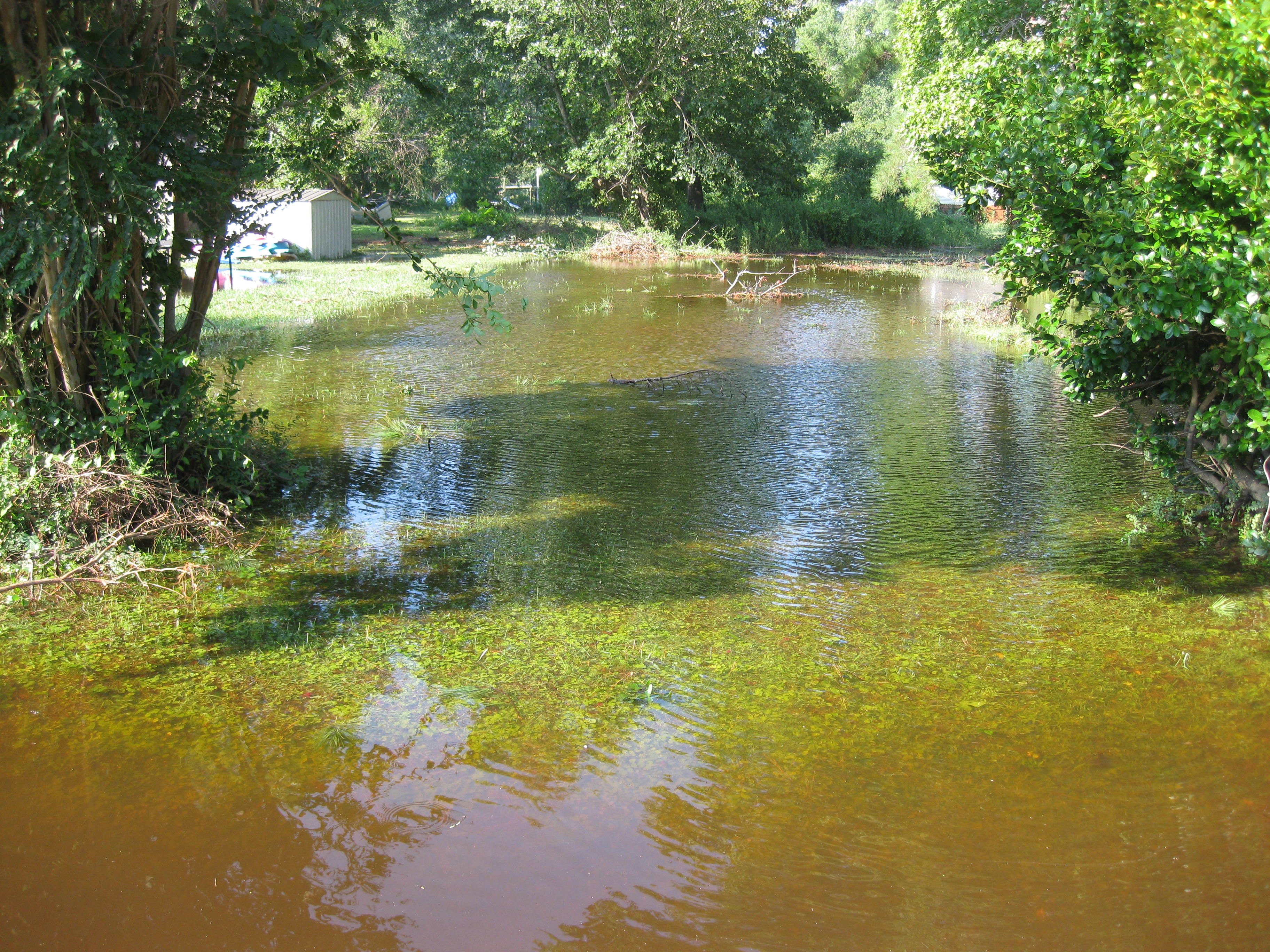Rain causes frequent flooding in the neighborhood. (Courtesy James City County)