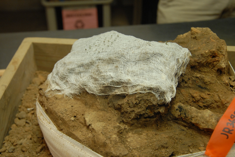 The wood excavated from the cellar is pictured here beneath a protective wrapping of cheesecloth. The copper tacks can be seen puncturing the top of the cheesecloth. (Gregory Connolly/WYDaily)