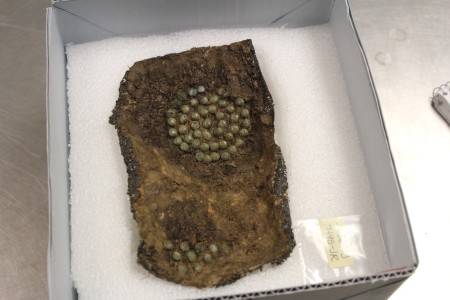 Jamestown Rediscovery Senior Conservator Dan Gamble has finished cleaning up this artifact, but its identity remains unknown. (Gregory Connolly/WYDaily)