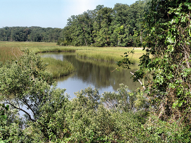 From 2017 to 2018, attendance at York River State Park dropped 17 percent. (WYDaily/Courtesy of DCR/Virginia State Parks)