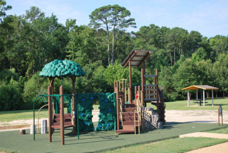 The new playground is tree house-themed and features play structures that are more accessible to children with physical disabilities. (Courtesy York County)
