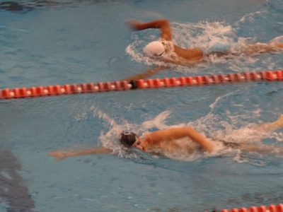 Evan Lynch swims to the wall during a freestyle event. (Submitted)