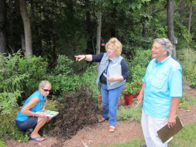 Master Gardeners will be making home visits to area homeowners to give them free advice on lawncare. (Courtesy JCC/Williamsburg Master Gardeners)