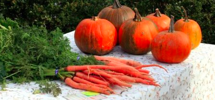 The Williamsburg Farmers Market will have plenty of pumpkins and other fall produce this week. (Courtesy Williamsburg Farmers Market)