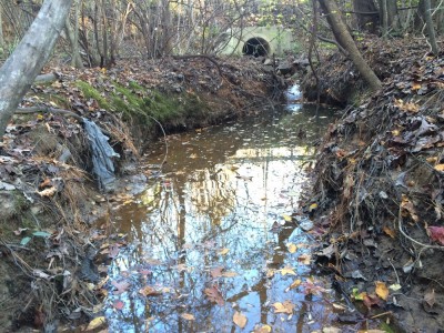 This stream near Essex Court, photographed Nov. 13, 2015, will be directed into a new channel. (Photo courtesy of James City County)