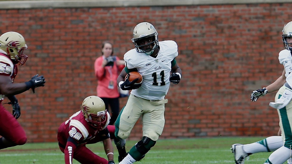 rp_primary_dedmon15 (1)