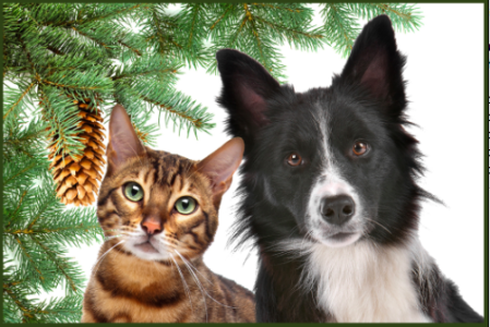 The Heritage Humane Society's annual Christmas Bazaar is this Saturday at Bruton Parish Hall. (Courtesy Heritage Humane Society)