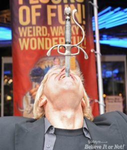 Dan Meyer swallows a sword during a previous World Sword Swaller's Day celebration. (Photo courtesy of Ripley's Believe It or Not!)