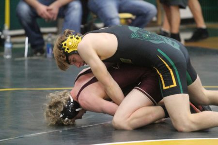 Ian Gruver had the best finish of any local wrestler during the state championships on Saturday. (file photo)