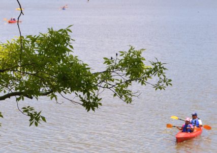 Kayakers from York County’s New Quarter Park enjoy a relaxing paddle on Queen Creek. (Photo courtesy York County)