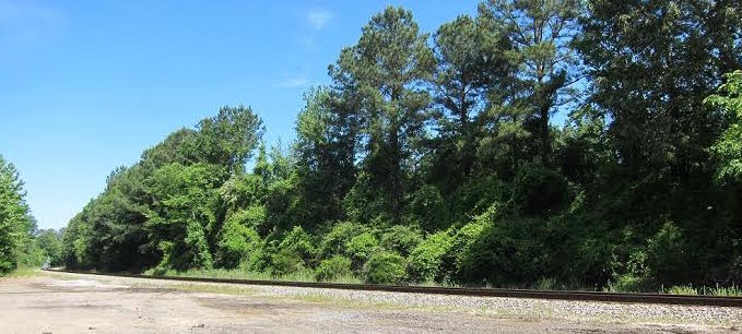 These CSX tracks in Williamsburg lead to the site of the May 20 train accident. A W.Va. man was struck and killed by a CSX train. (Photo by Kirsten Petersen)