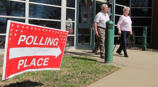 Voters mulled constitutional amendments