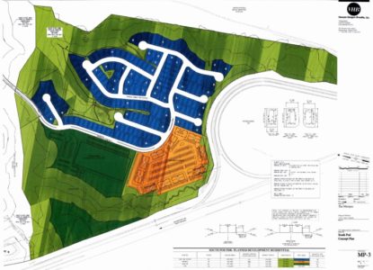 In this concept art for the Marquis development, the area in dark green represents the 14.43 acres proposed for a school. (Courtesy of York County)