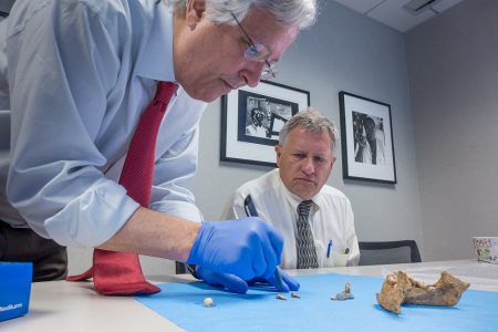 Endodontist Martin D. Levin (foreground) and Doug Owsley, head of physical anthropology at the Smithsonian National Museum of Natural History (background), strategize how to approach their assessment of the fort boy's teeth in 2014. (Photo by Bruce Dale. Courtesy of Martin D. Levin)