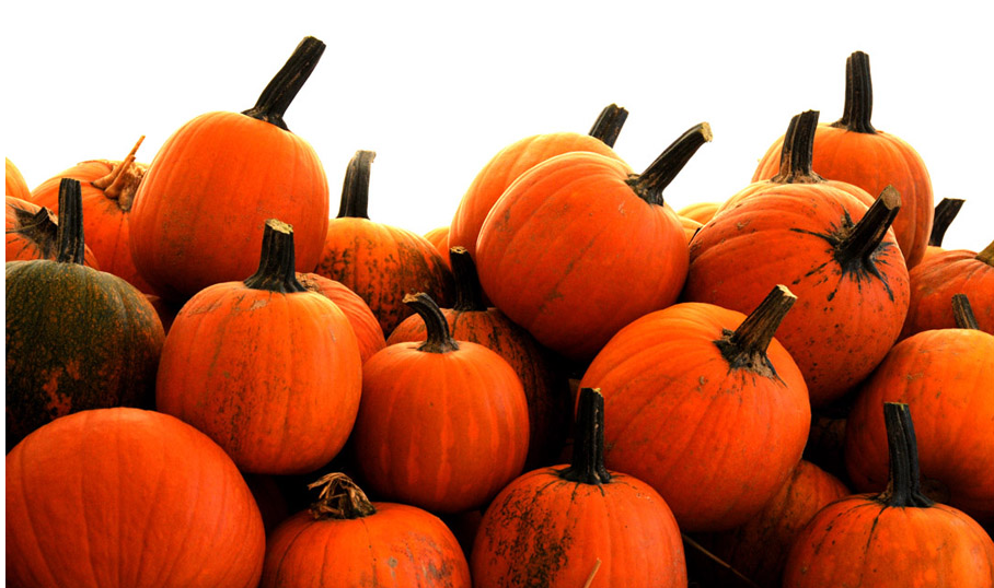 (Courtesy Pumpkinville Farms)