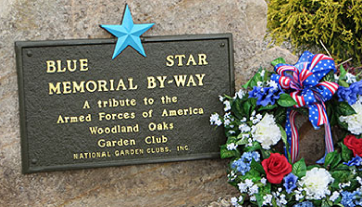 Williamsburg gets a blue star