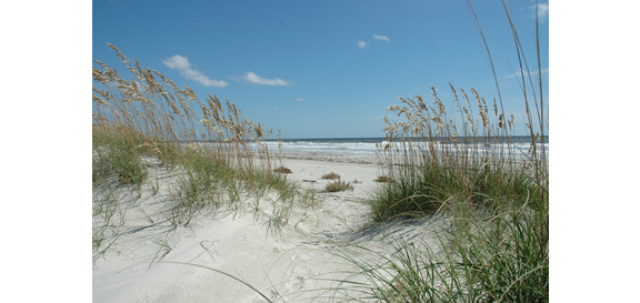 Cumberland Island