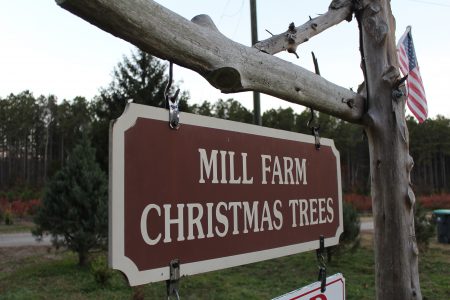 (Sarah Fearing/ WYDaily)