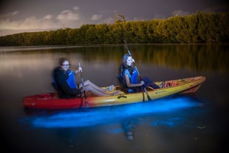 The phenomenon of bioluminescence in the waters of Grand Cayman. (Photo courtesy Cayman Kayaks)