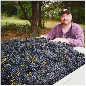 A recent study has shown the economic impact of Virginia’s growing wine industry has increased 82 percent in five years. (Courtesy Williamsburg Winery)