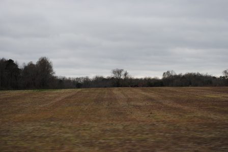 The Taylor family says they have no immediate plans to develop the land, but family members have written letters stating keeping the property as farmland forever will not be sustainable. (Sarah Fearing/WYDaily)