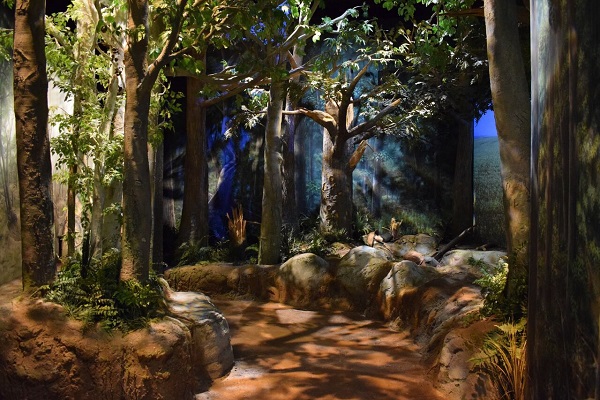 A depiction of the landscape at the Battle of Belleau Wood in 1918. Photo courtesy Ben Swenson