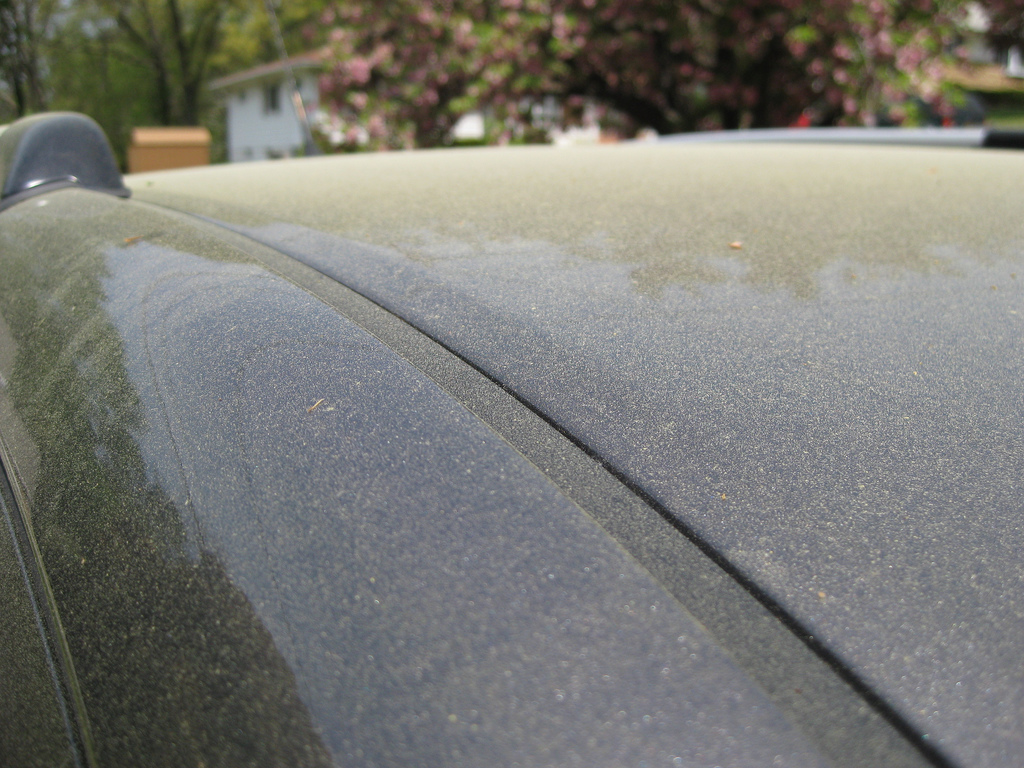 pollen dust, allergies,