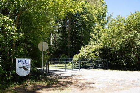 The Indigo Park Pool is a point of pride in the community, but some residents are concerned that if more group homes come to the neighborhood it would change the family character of the area. (Steve Roberts, Jr./WYDaily)