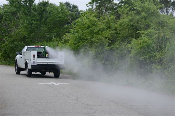 City-wide mosquito spraying began Wednesday evening in Williamsburg. (file photo)