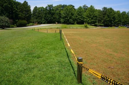 The Williamsburg National Golf Club putting greens have been resown with Bermuda grass, but it takes time for the grass to grow. (Steve Roberts, Jr./WYDaily)
