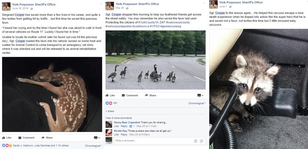 Over the last year, the York-Poquoson Sheriff's Office has posted at least four times about Cooper's animal rescue missions. (Courtesy YPSO Facebook)