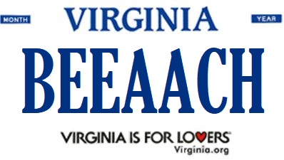 A simulated view of one of 2016's rejected personalized license plates.