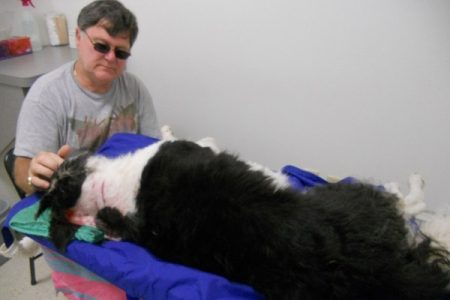 Howard Chamberlain spends his last moments with his dog, Jack, after the dog was attacked at Coastal Dog Services in Newport News. (Courtesy of Bonnie Chamberlain)