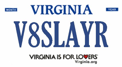 A simulated view of one of 2016's rejected personalized license plates.