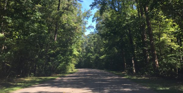 Williamsburg resident Mark Ashby is suing Bikes Unlimited, a Williamsburg bike shop, along with California manufacturer Felt Racing and ADK Technology Limited of China, after he says he crashed riding along the Colonial Parkway in April 2013. (file photo)