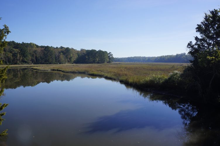 Queen's Creek was home to a port which brought goods to the colonial capital Williamsburg. (Steve Roberts, Jr./WYDaily)