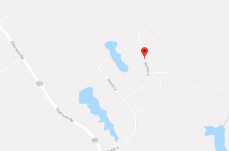 A man was arrested Dec. 6 after he allegedly stabbed a dog at a house in the 7900 block of Mathew Court. (Courtesy photo/Google Maps)