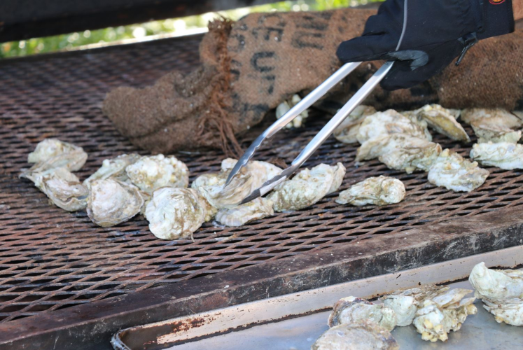 The Williamsburg Taste Festival is set to come April 19-22 and intends to combine homegrown ‘culinary authenticity’ with Southern hospitality.