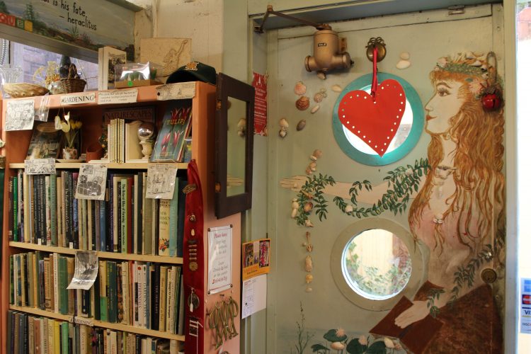 Mermaid Books in Downtown Williamsburg is a comfy stop on a first date. (Alexa Doiron/WYDaily)