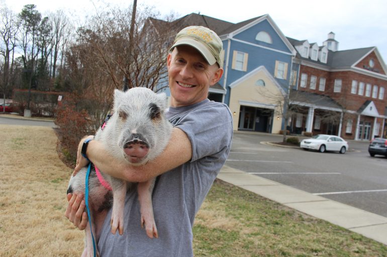 Ryan Phillips spends his days spreading veganism around Greater Williamsburg with his three little pigs. (Alexa Doiron/WYDaily)