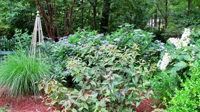 After the program, master gardeners will be in the botanical garden to answer questions. (Courtesy photo/Williamsburg Botanical Gardens)